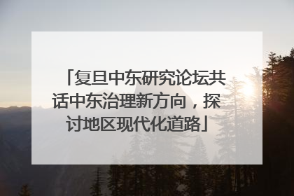 复旦中东研究论坛共话中东治理新方向，探讨地区现代化道路