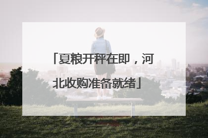 夏粮开秤在即，河北收购准备就绪