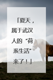 夏天，属于武汉人的“荷系生活”来了！