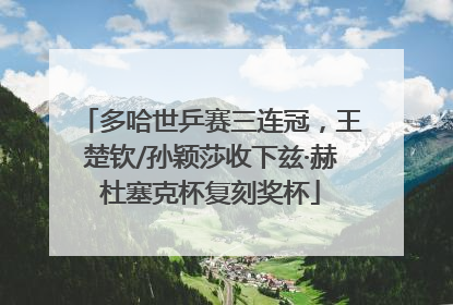 多哈世乒赛三连冠，王楚钦/孙颖莎收下兹·赫杜塞克杯复刻奖杯