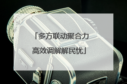 多方联动聚合力 高效调解解民忧