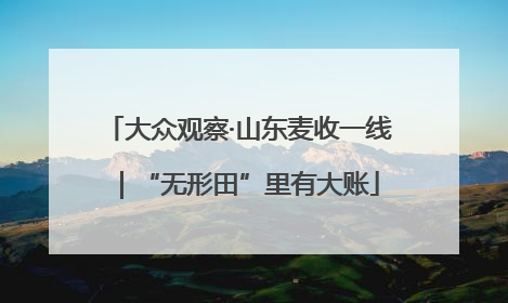 大众观察·山东麦收一线｜“无形田”里有大账