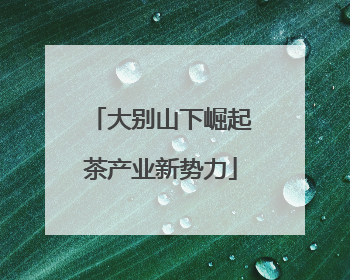 大别山下崛起茶产业新势力