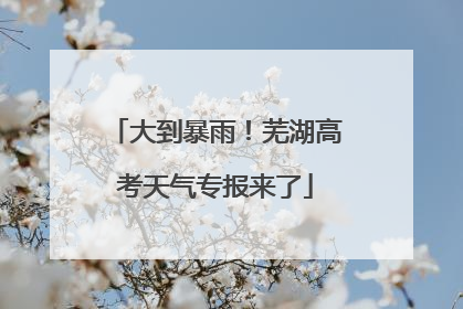 大到暴雨！芜湖高考天气专报来了