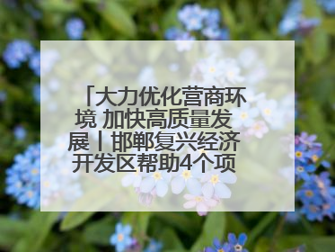 大力优化营商环境 加快高质量发展丨邯郸复兴经济开发区帮助4个项目及时落地
