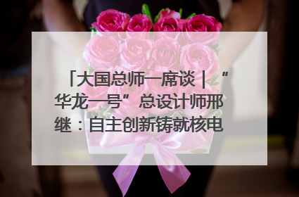 大国总师一席谈｜“华龙一号”总设计师邢继：自主创新铸就核电“国家名片”