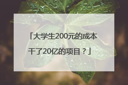 大学生200元的成本干了20亿的项目？