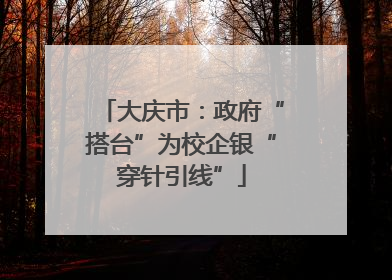 大庆市：政府“搭台”为校企银“穿针引线”