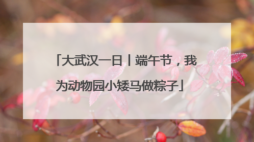 大武汉一日丨端午节，我为动物园小矮马做粽子