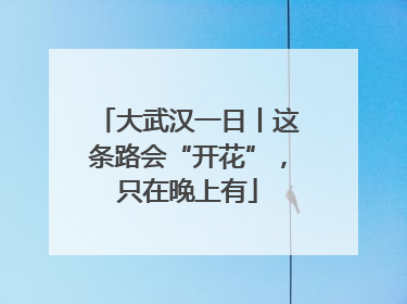 大武汉一日丨这条路会“开花”，只在晚上有