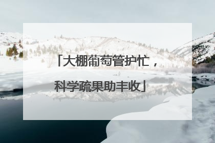 大棚葡萄管护忙，科学疏果助丰收