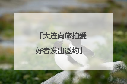 大连向旅拍爱好者发出邀约