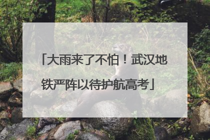 大雨来了不怕！武汉地铁严阵以待护航高考