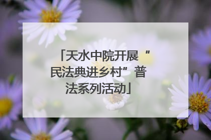 天水中院开展“民法典进乡村”普法系列活动