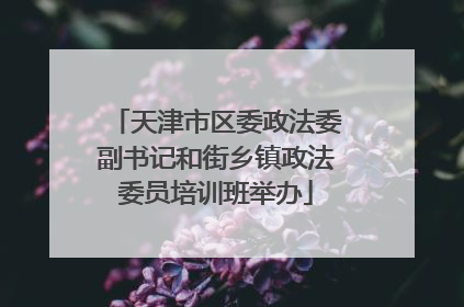 天津市区委政法委副书记和街乡镇政法委员培训班举办