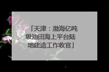 天津：渤海亿吨级油田海上平台陆地建造工作收官