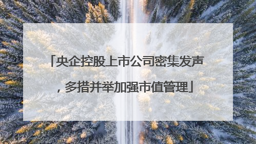 央企控股上市公司密集发声，多措并举加强市值管理