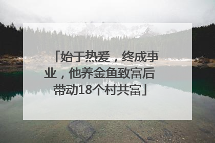 始于热爱，终成事业，他养金鱼致富后带动18个村共富