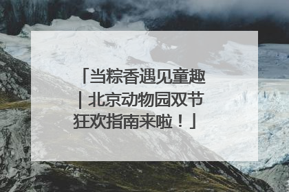 当粽香遇见童趣｜北京动物园双节狂欢指南来啦！