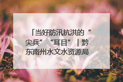 当好防汛抗洪的“尖兵”“耳目”｜黔东南州水文水资源局全员出动为此轮强降雨做好测报工作