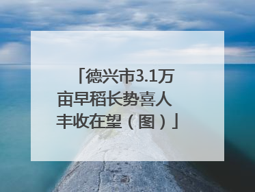德兴市3.1万亩早稻长势喜人 丰收在望（图）