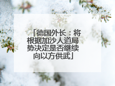 德国外长：将根据加沙人道局势决定是否继续向以方供武