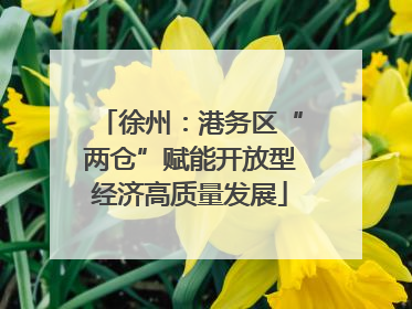 徐州：港务区“两仓”赋能开放型经济高质量发展