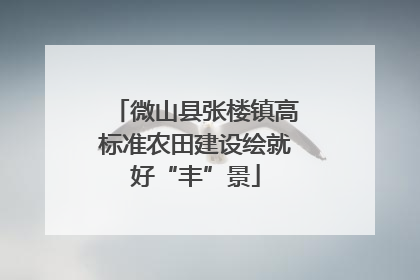 微山县张楼镇高标准农田建设绘就好“丰”景
