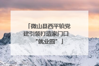微山县西平镇党建引领打造家门口“就业圈”