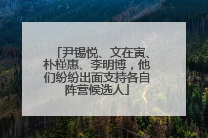 尹锡悦、文在寅、朴槿惠、李明博，他们纷纷出面支持各自阵营候选人
