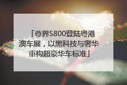 尊界S800登陆粤港澳车展，以黑科技与奢华重构超豪华车标准