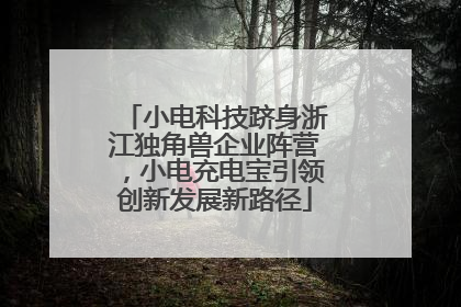 小电科技跻身浙江独角兽企业阵营，小电充电宝引领创新发展新路径