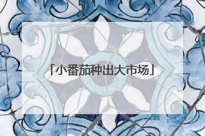 小番茄种出大市场