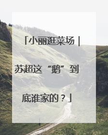 小丽逛菜场｜苏超这“鹅”到底谁家的？