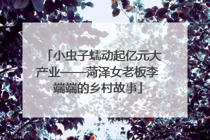 小虫子蠕动起亿元大产业——菏泽女老板李端端的乡村故事