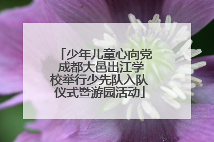 少年儿童心向党 成都大邑出江学校举行少先队入队仪式暨游园活动