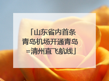 山东省内首条 青岛机场开通青岛=清州直飞航线