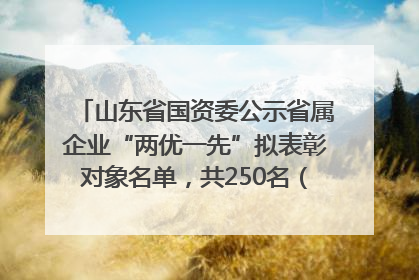 山东省国资委公示省属企业“两优一先”拟表彰对象名单，共250名（个）党员和党组织