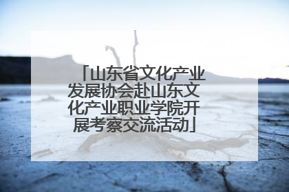 山东省文化产业发展协会赴山东文化产业职业学院开展考察交流活动