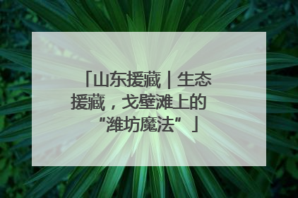 山东援藏｜生态援藏，戈壁滩上的“潍坊魔法”