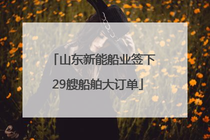 山东新能船业签下29艘船舶大订单