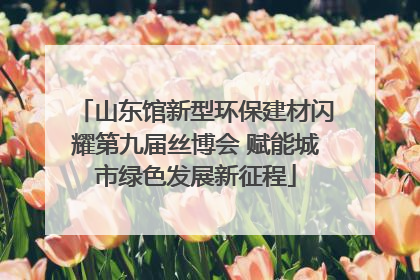 山东馆新型环保建材闪耀第九届丝博会 赋能城市绿色发展新征程