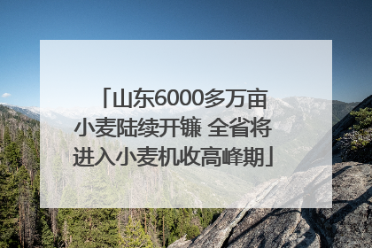 山东6000多万亩小麦陆续开镰 全省将进入小麦机收高峰期