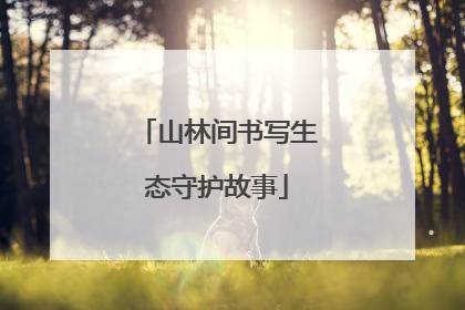 山林间书写生态守护故事
