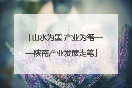 山水为墨 产业为笔——陕南产业发展走笔