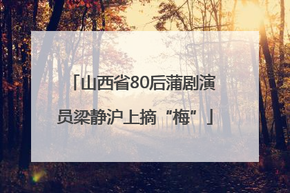 山西省80后蒲剧演员梁静沪上摘“梅”