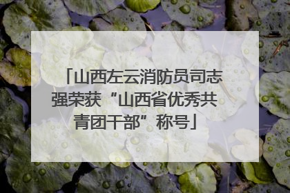 山西左云消防员司志强荣获“山西省优秀共青团干部”称号