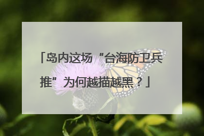 岛内这场“台海防卫兵推”为何越描越黑？
