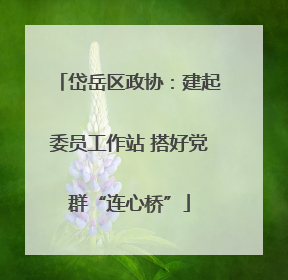 岱岳区政协：建起委员工作站 搭好党群“连心桥”