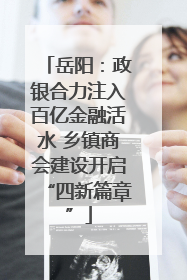 岳阳：政银合力注入百亿金融活水 乡镇商会建设开启“四新篇章”